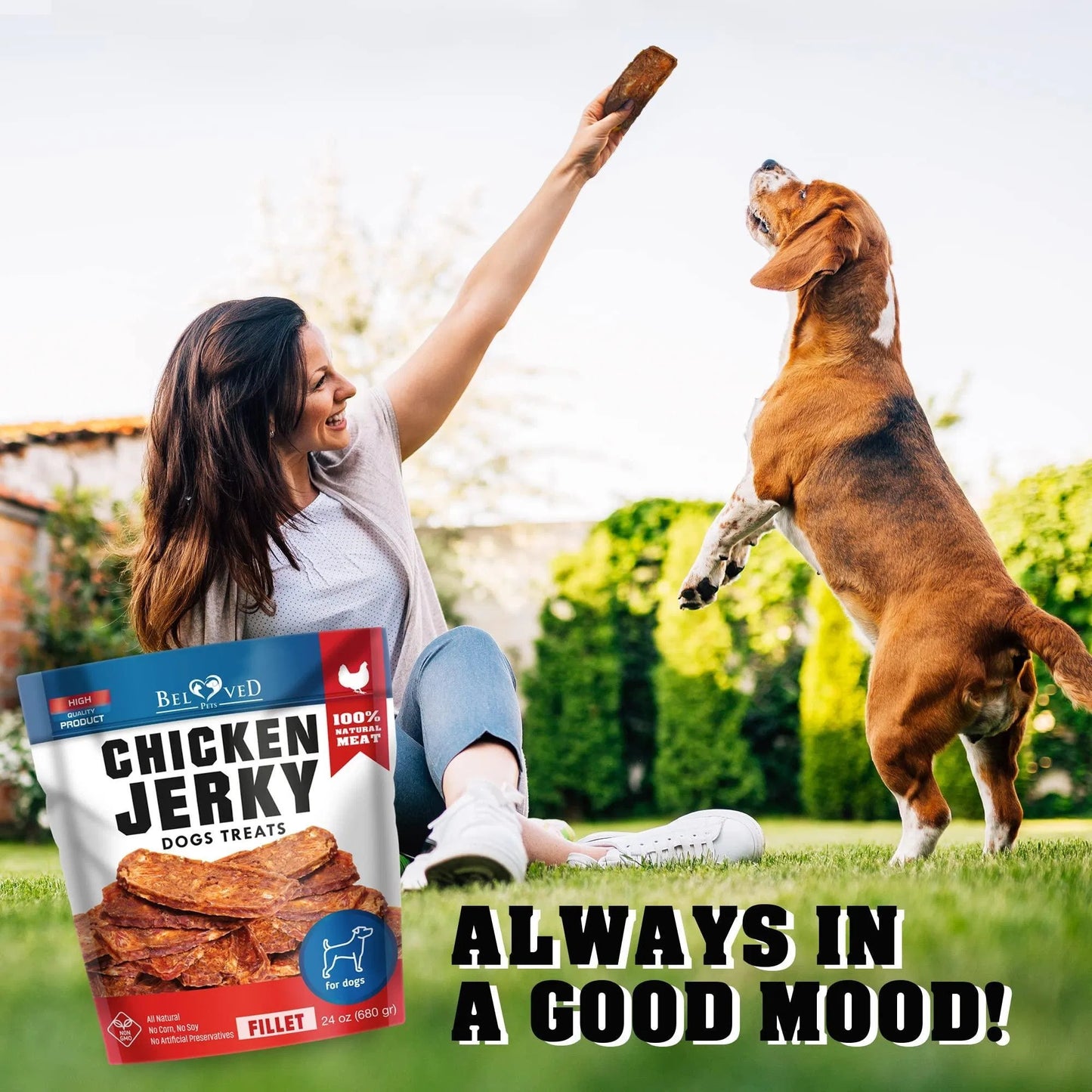 Chicken Jerky Dog Treats 1.5 Lb Human Grade Pet Snacks Grain Free Organic Meat All Natural High Protein Dried Strips Best Chews For Training Small & Large Dogs